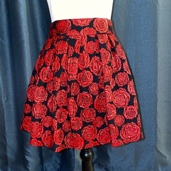 ONLY WORN ONCE! Alice and Olivia Rose Skirt!